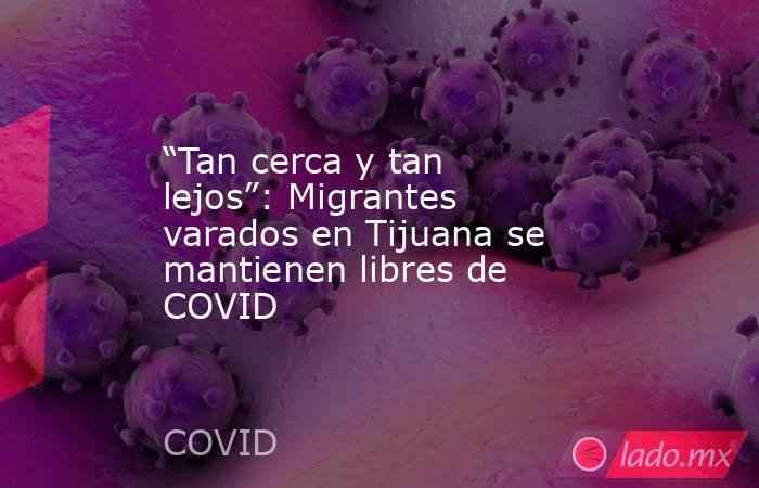 “Tan cerca y tan lejos”: Migrantes varados en Tijuana se mantienen libres de COVID. Noticias en tiempo real