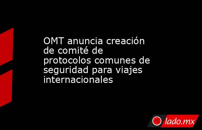 OMT anuncia creación de comité de protocolos comunes de seguridad para viajes internacionales. Noticias en tiempo real