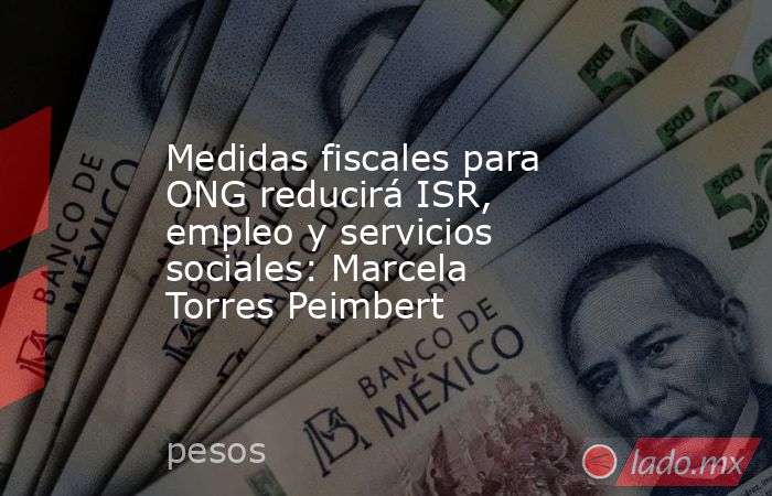 Medidas fiscales para ONG reducirá ISR, empleo y servicios sociales: Marcela Torres Peimbert. Noticias en tiempo real