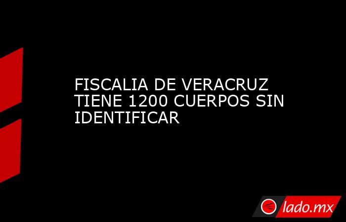 FISCALIA DE VERACRUZ TIENE 1200 CUERPOS SIN IDENTIFICAR. Noticias en tiempo real