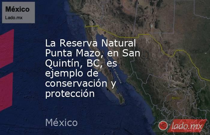 La Reserva Natural Punta Mazo, en San Quintín, BC, es ejemplo de conservación y protección. Noticias en tiempo real