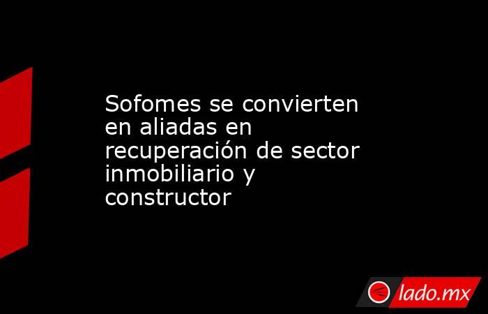 Sofomes se convierten en aliadas en recuperación de sector inmobiliario y constructor. Noticias en tiempo real