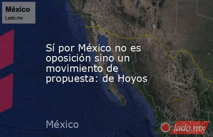 Sí por México no es oposición sino un movimiento de propuesta: de Hoyos. Noticias en tiempo real