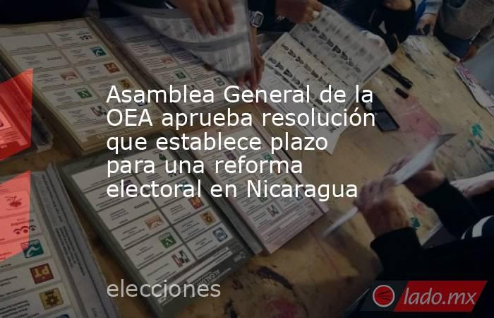 Asamblea General de la OEA aprueba resolución que establece plazo para una reforma electoral en Nicaragua. Noticias en tiempo real