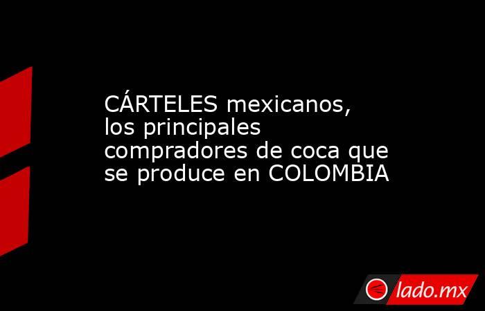 CÁRTELES mexicanos, los principales compradores de coca que se produce en COLOMBIA. Noticias en tiempo real