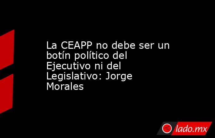 La CEAPP no debe ser un botín político del Ejecutivo ni del Legislativo: Jorge Morales. Noticias en tiempo real