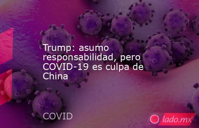 Trump: asumo responsabilidad, pero COVID-19 es culpa de China. Noticias en tiempo real