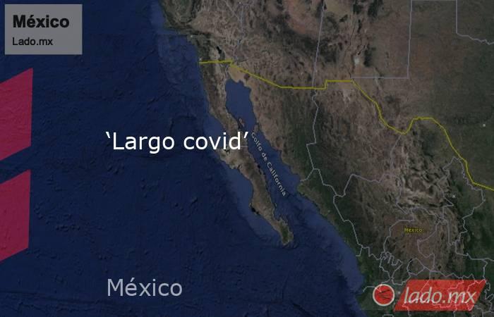 ‘Largo covid’. Noticias en tiempo real