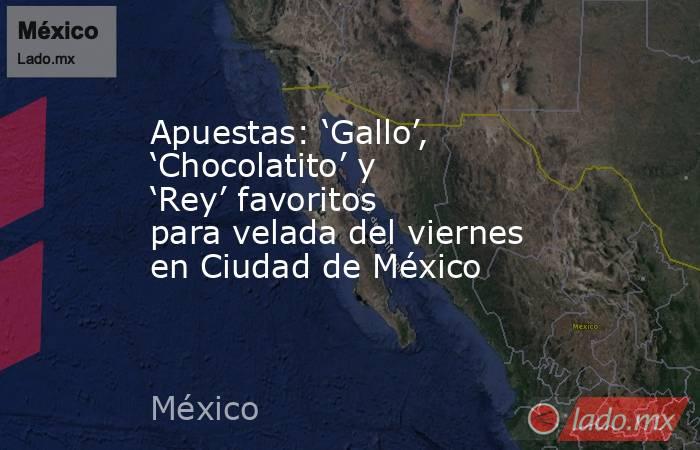 Apuestas: ‘Gallo’, ‘Chocolatito’ y ‘Rey’ favoritos para velada del viernes en Ciudad de México. Noticias en tiempo real