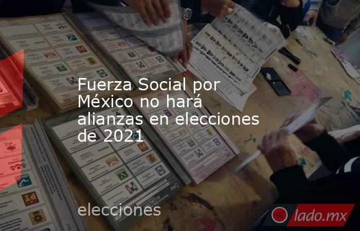 Fuerza Social por México no hará alianzas en elecciones de 2021. Noticias en tiempo real