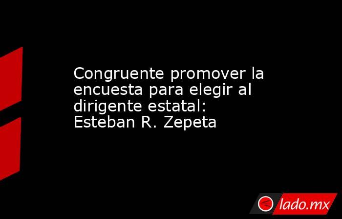 Congruente promover la encuesta para elegir al dirigente estatal: Esteban R. Zepeta. Noticias en tiempo real