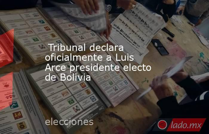  Tribunal declara oficialmente a Luis Arce presidente electo de Bolivia. Noticias en tiempo real