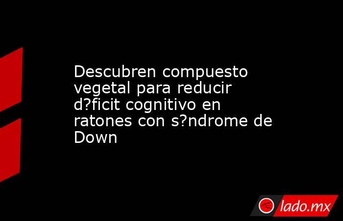 Descubren compuesto vegetal para reducir d?ficit cognitivo en ratones con s?ndrome de Down. Noticias en tiempo real