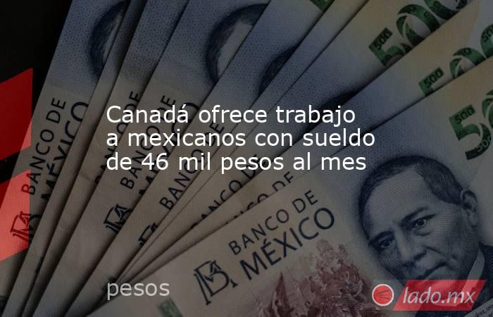 Canadá ofrece trabajo a mexicanos con sueldo de 46 mil pesos al mes. Noticias en tiempo real