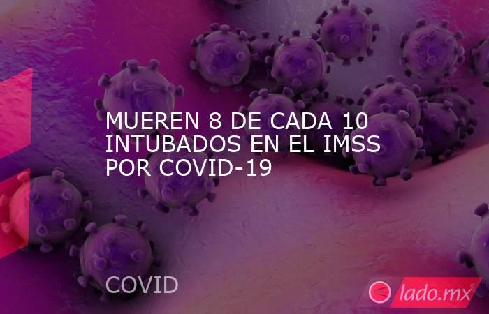 MUEREN 8 DE CADA 10 INTUBADOS EN EL IMSS POR COVID-19. Noticias en tiempo real