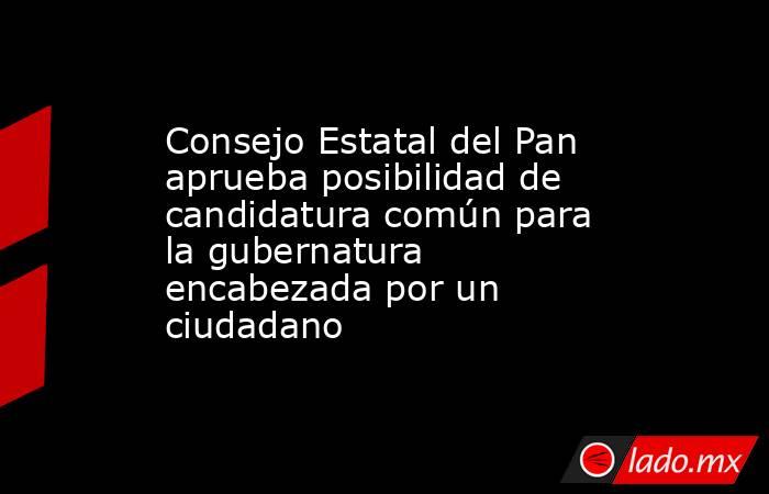 Consejo Estatal del Pan aprueba posibilidad de candidatura común para la gubernatura encabezada por un ciudadano. Noticias en tiempo real