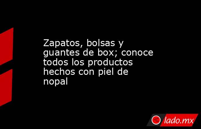 Zapatos, bolsas y guantes de box; conoce todos los productos hechos con piel de nopal. Noticias en tiempo real