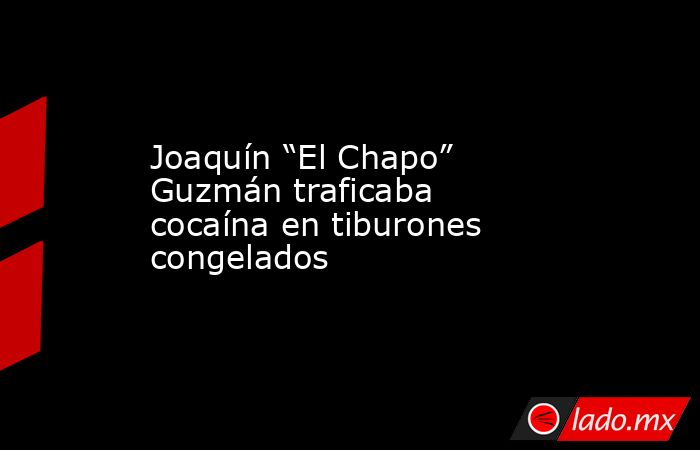 Joaquín “El Chapo” Guzmán traficaba cocaína en tiburones congelados. Noticias en tiempo real