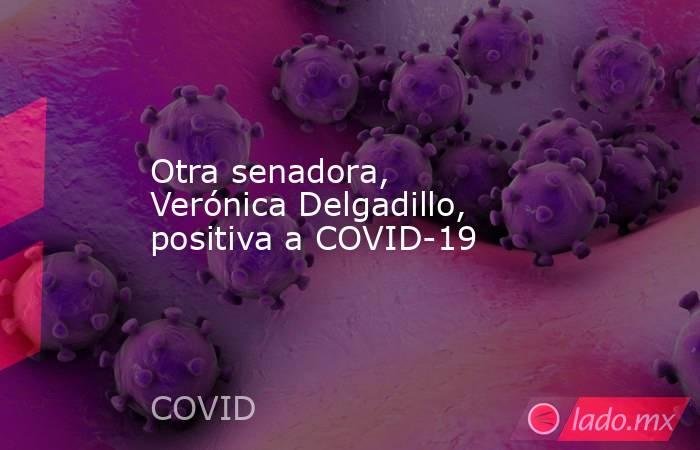 Otra senadora, Verónica Delgadillo, positiva a COVID-19. Noticias en tiempo real