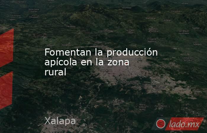 Fomentan la producción apícola en la zona rural. Noticias en tiempo real