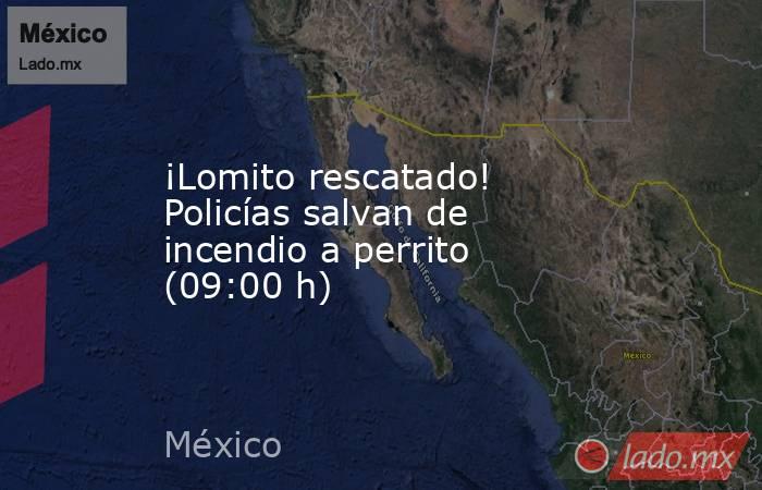 ¡Lomito rescatado! Policías salvan de incendio a perrito (09:00 h). Noticias en tiempo real