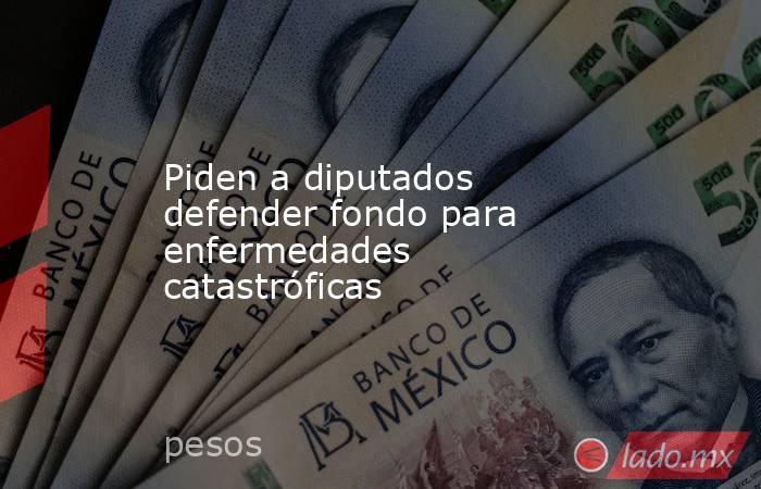 Piden a diputados defender fondo para enfermedades catastróficas . Noticias en tiempo real