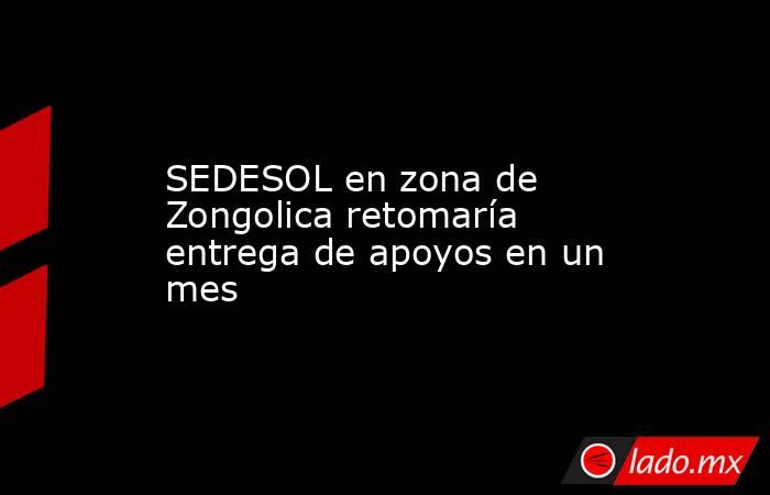 SEDESOL en zona de Zongolica retomaría entrega de apoyos en un mes. Noticias en tiempo real