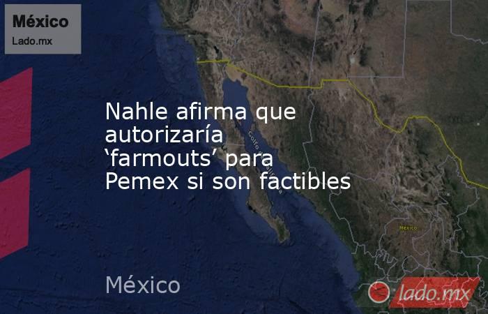 Nahle afirma que autorizaría ‘farmouts’ para Pemex si son factibles. Noticias en tiempo real