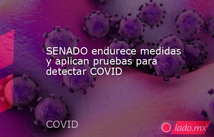 SENADO endurece medidas y aplican pruebas para detectar COVID. Noticias en tiempo real