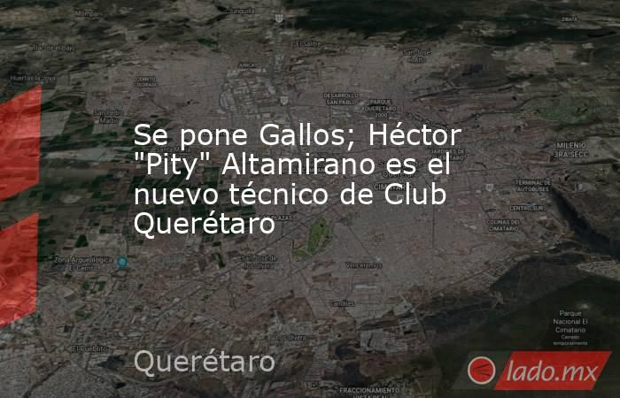 Se pone Gallos; Héctor 