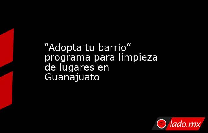 “Adopta tu barrio” programa para limpieza de lugares en Guanajuato. Noticias en tiempo real