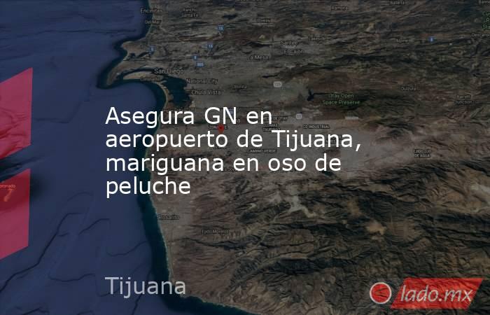 Asegura GN en aeropuerto de Tijuana, mariguana en oso de peluche. Noticias en tiempo real