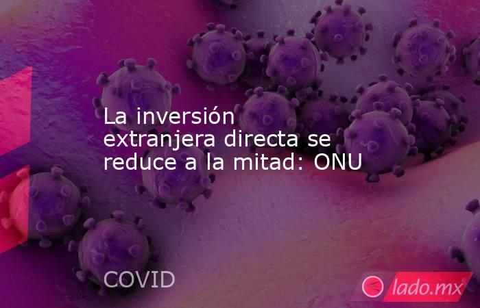 La inversión extranjera directa se reduce a la mitad: ONU. Noticias en tiempo real