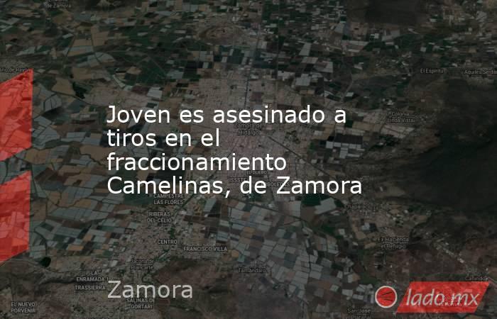Joven es asesinado a tiros en el fraccionamiento Camelinas, de Zamora. Noticias en tiempo real