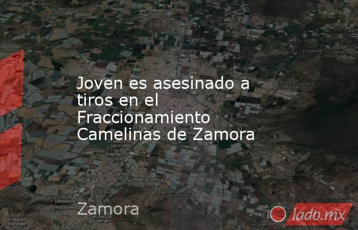 Joven es asesinado a tiros en el Fraccionamiento Camelinas de Zamora. Noticias en tiempo real