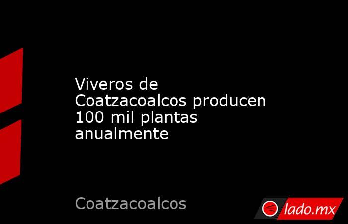 Viveros de Coatzacoalcos producen 100 mil plantas anualmente. Noticias en tiempo real