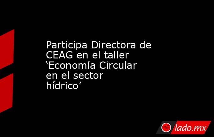 Participa Directora de CEAG en el taller ‘Economía Circular en el sector hídrico’. Noticias en tiempo real