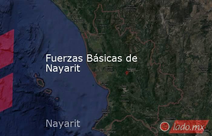 Fuerzas Básicas de Nayarit. Noticias en tiempo real