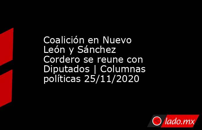 Coalición en Nuevo León y Sánchez Cordero se reune con Diputados | Columnas políticas 25/11/2020. Noticias en tiempo real