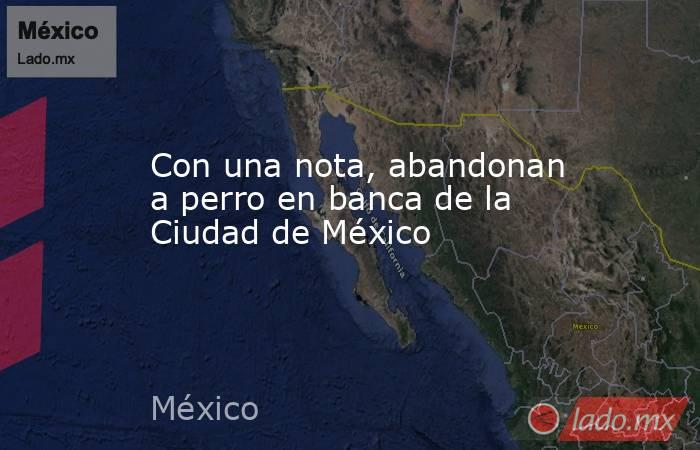 Con una nota, abandonan a perro en banca de la Ciudad de México. Noticias en tiempo real