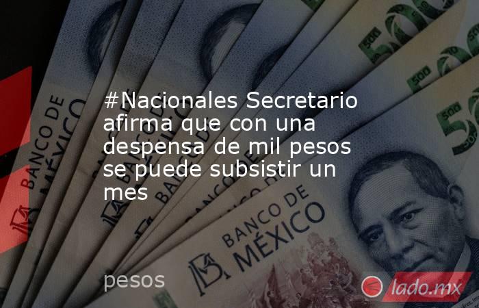 #Nacionales Secretario afirma que con una despensa de mil pesos se puede subsistir un mes. Noticias en tiempo real