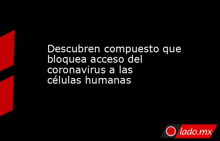 Descubren compuesto que bloquea acceso del coronavirus a las células humanas. Noticias en tiempo real