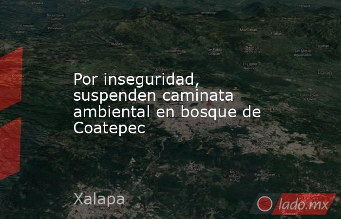 Por inseguridad, suspenden caminata ambiental en bosque de Coatepec. Noticias en tiempo real