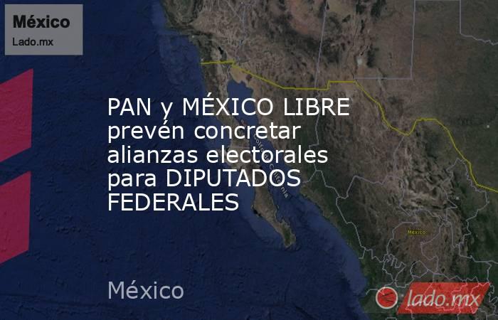 PAN y MÉXICO LIBRE prevén concretar alianzas electorales para DIPUTADOS FEDERALES. Noticias en tiempo real