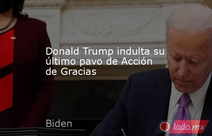 Donald Trump indulta su último pavo de Acción de Gracias. Noticias en tiempo real