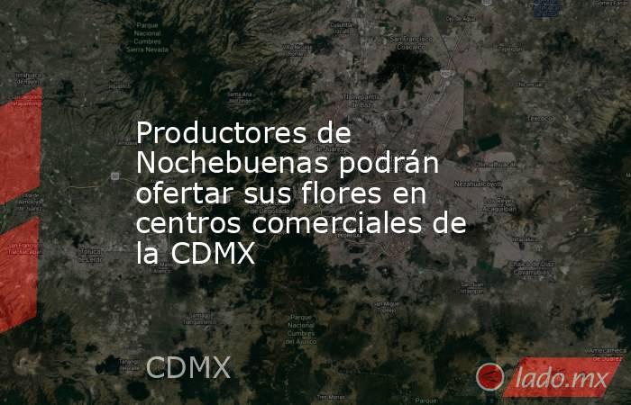 Productores de Nochebuenas podrán ofertar sus flores en centros comerciales de la CDMX. Noticias en tiempo real