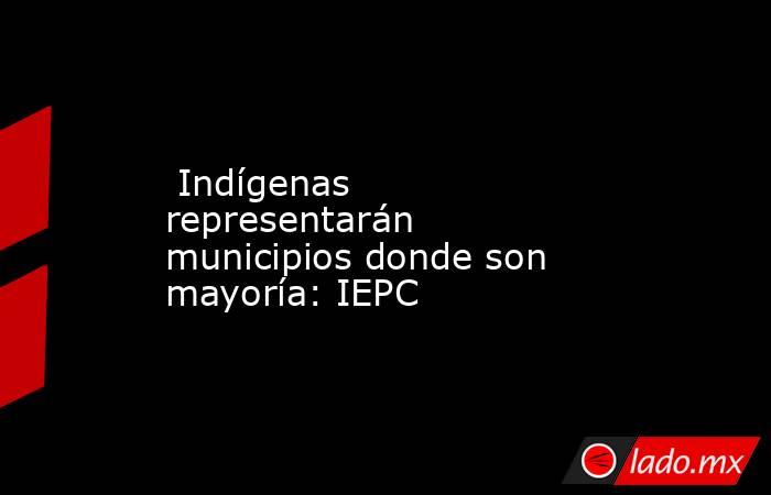  Indígenas representarán municipios donde son mayoría: IEPC. Noticias en tiempo real