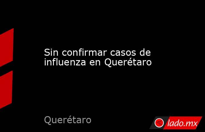 Sin confirmar casos de influenza en Querétaro. Noticias en tiempo real