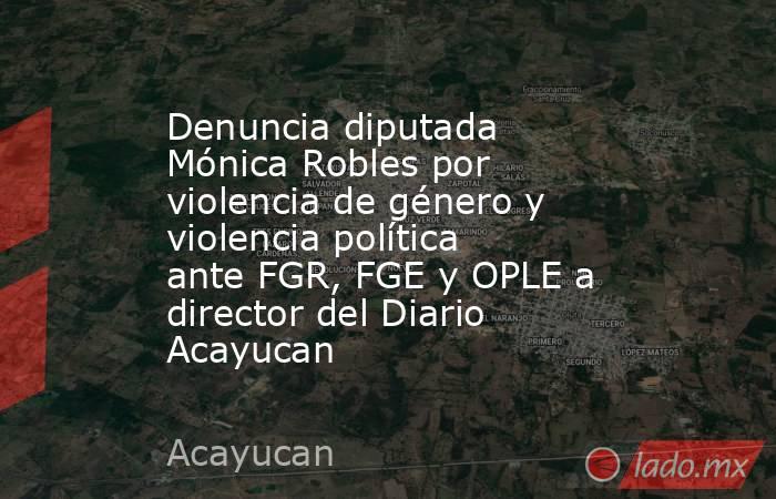 Denuncia diputada Mónica Robles por violencia de género y violencia política ante FGR, FGE y OPLE a director del Diario Acayucan. Noticias en tiempo real