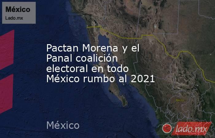Pactan Morena y el Panal coalición electoral en todo México rumbo al 2021. Noticias en tiempo real